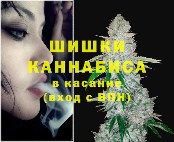 ГАЛЛЮЦИНОГЕННЫЕ ГРИБЫ Балахна
