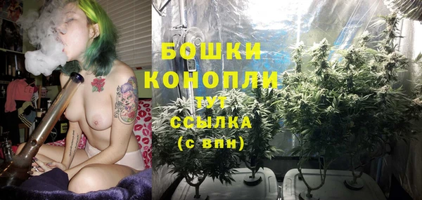 ГАЛЛЮЦИНОГЕННЫЕ ГРИБЫ Балахна