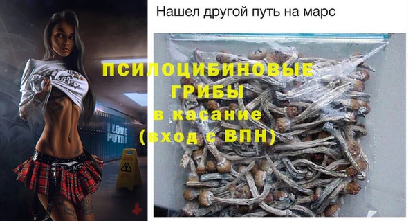 хмурый Балабаново