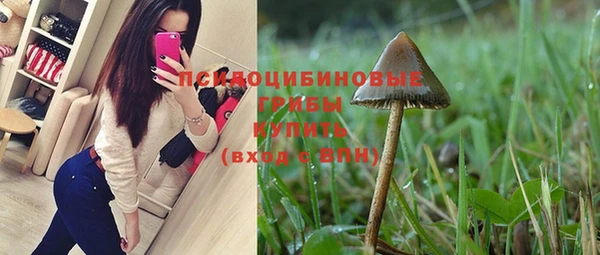 хмурый Балабаново