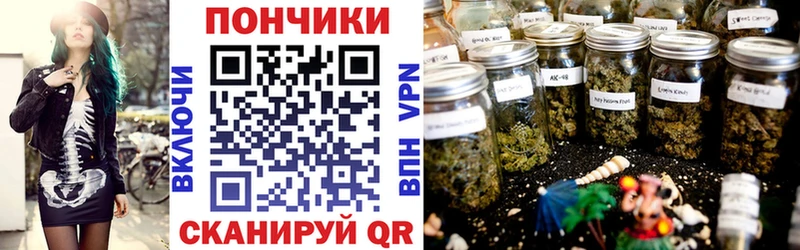 Бошки Шишки планчик  Сегежа 